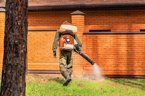 Trusted Termite Control service in Fair Grove, MO - Nex Pest Control
